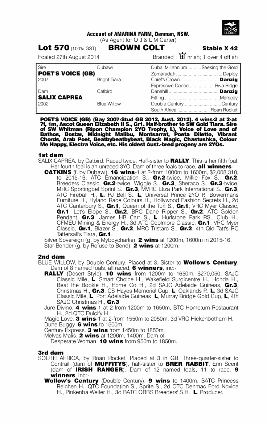 Poet's Voice (GB) / Salix Caprea (AUS) - pedigree