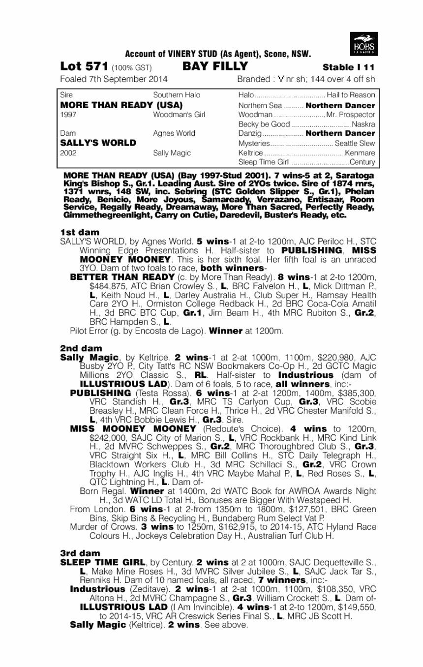 More Than Ready (USA) / Sally's World (AUS) - pedigree