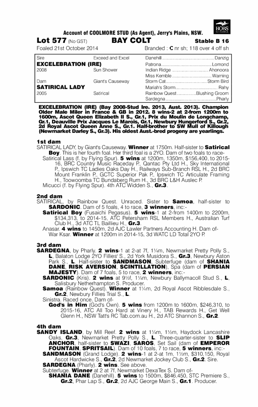 Excelebration (IRE) / Satirical Lady (AUS) - pedigree