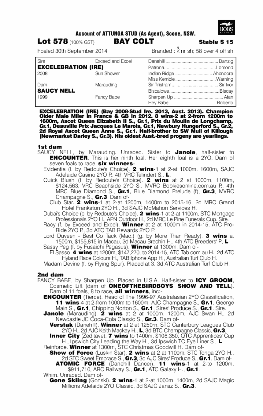 Excelebration (IRE) / Saucy Nell (AUS) - pedigree