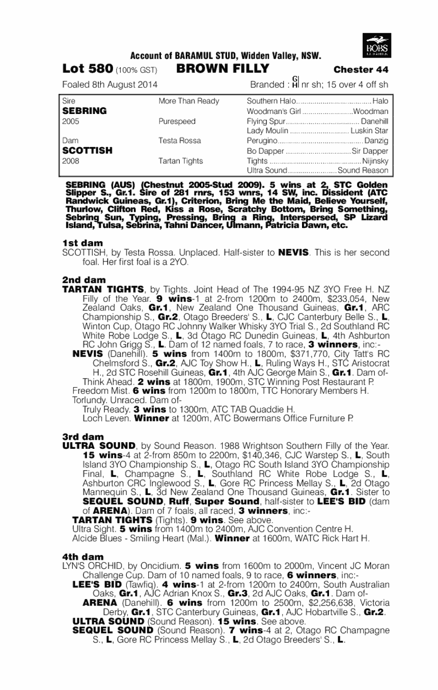 Sebring (AUS) / Scottish (AUS) - pedigree