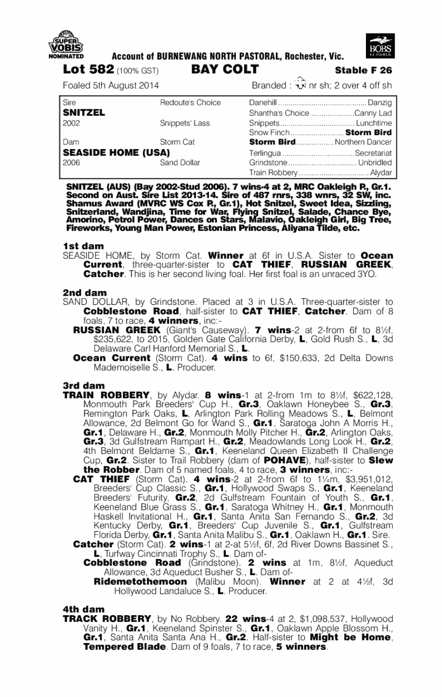Snitzel (AUS) / Seaside Home (USA) - pedigree