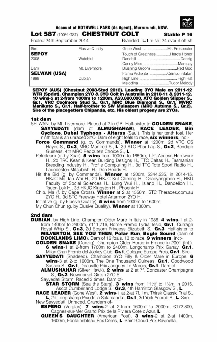 Sepoy (AUS) / Selwan (USA) - pedigree