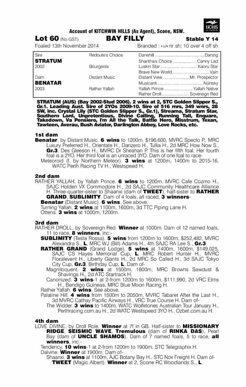 Stratum (AUS) / Benatar (AUS) - pedigree