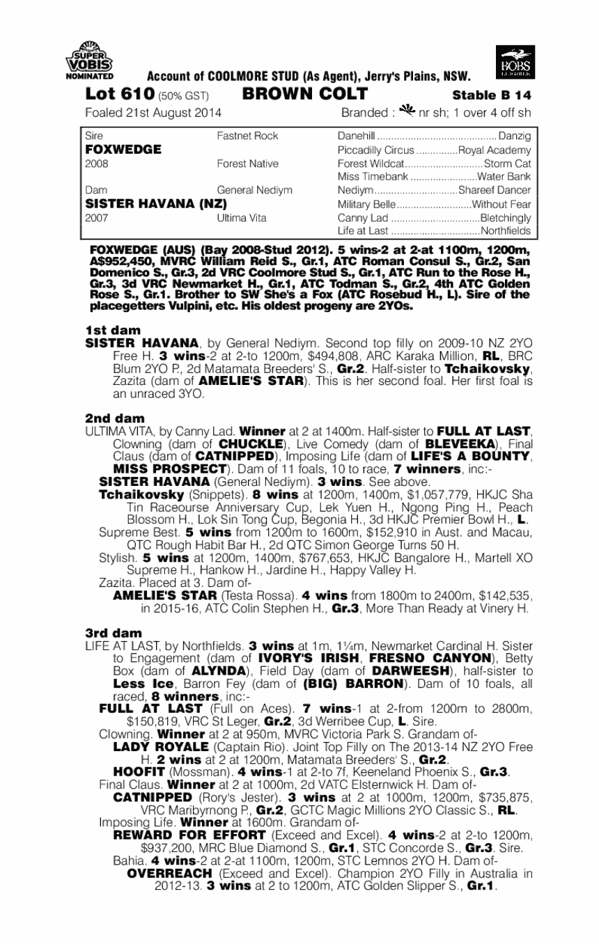 Foxwedge (AUS) / Sister Havana (NZ) - pedigree