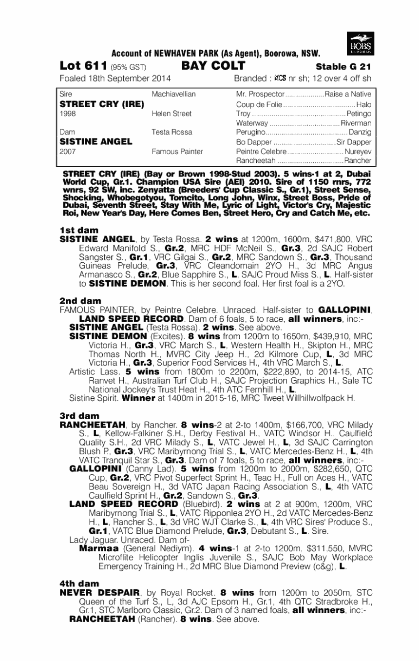 Street Cry (IRE) / Sistine Angel (AUS) - pedigree