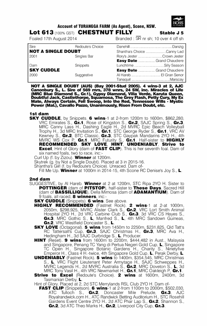Not A Single Doubt (AUS) / Sky Cuddle (AUS) - pedigree