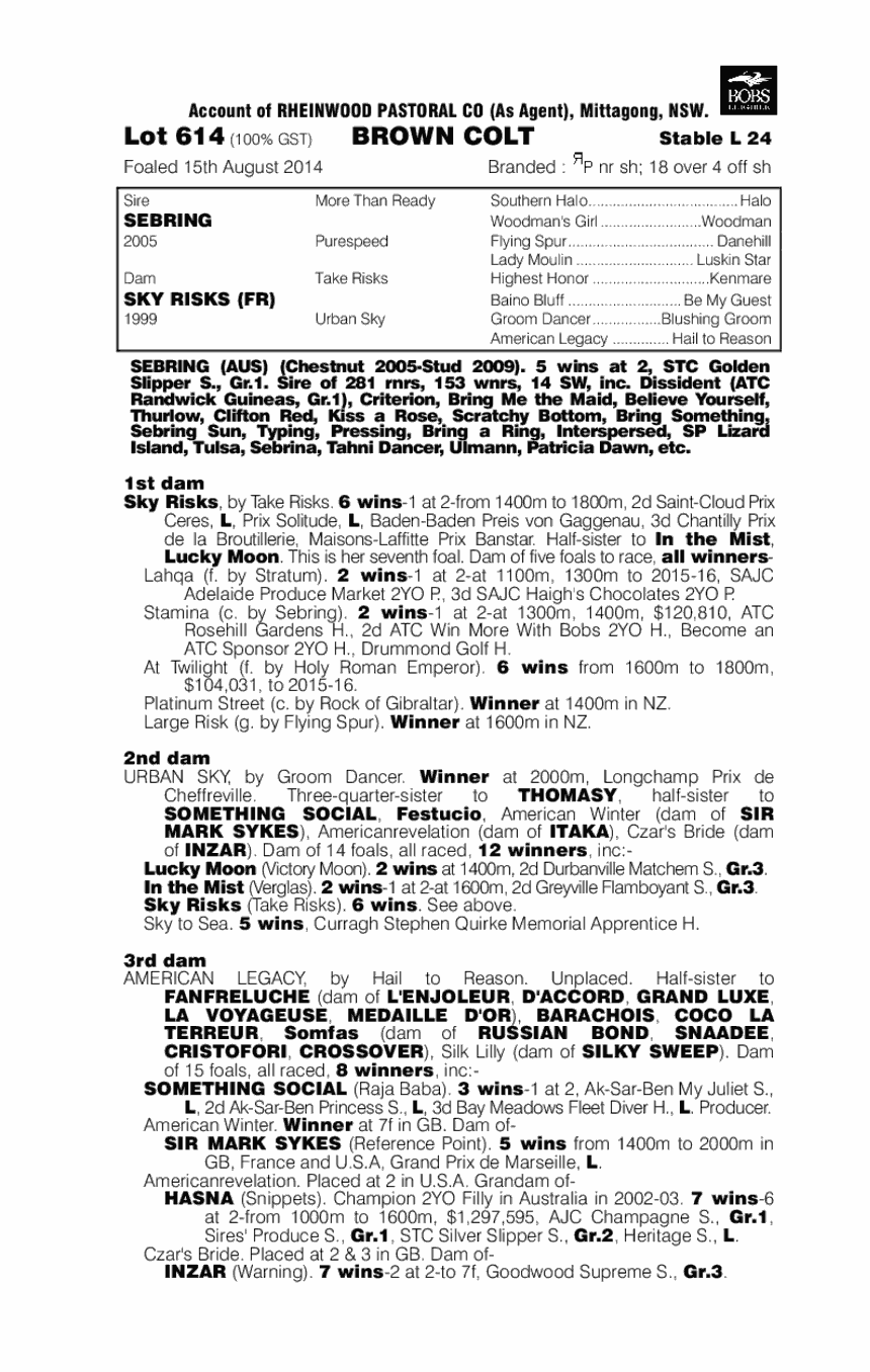 Sebring (AUS) / Sky Risks (FR) - pedigree