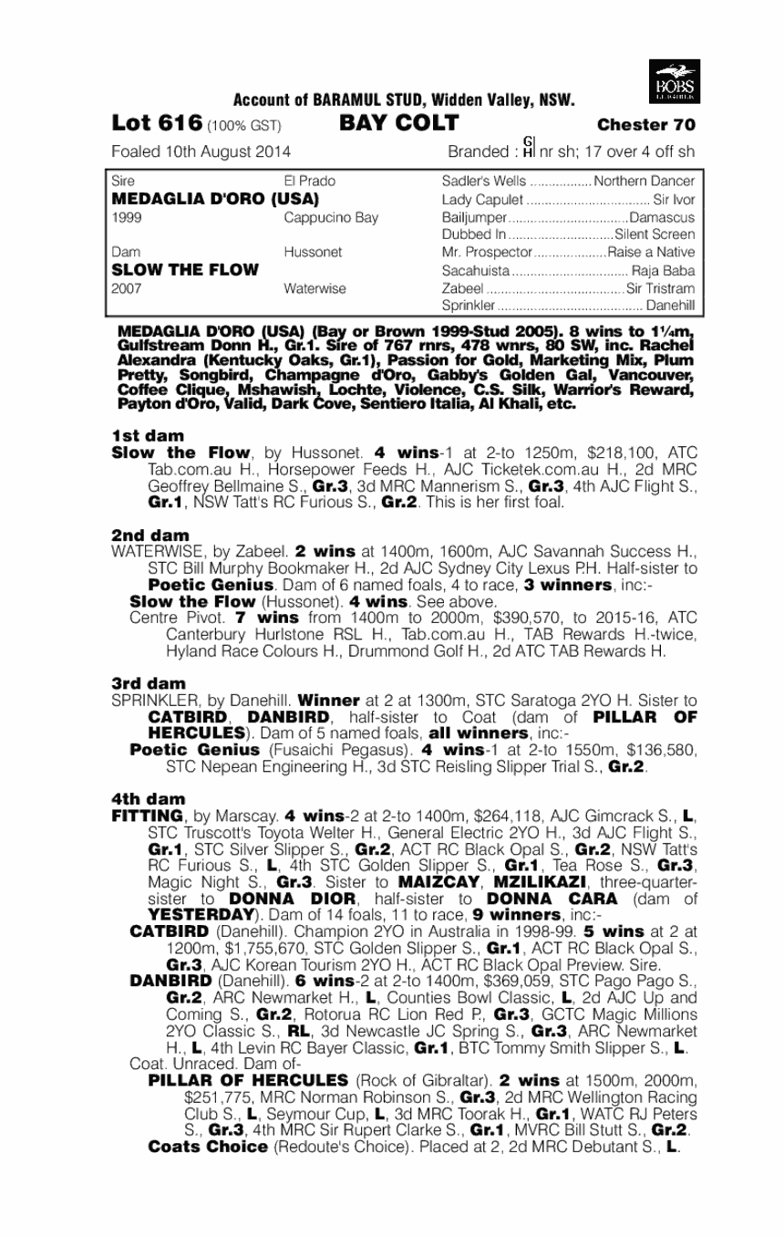 Medaglia D'oro (USA) / Slow The Flow (AUS) - pedigree
