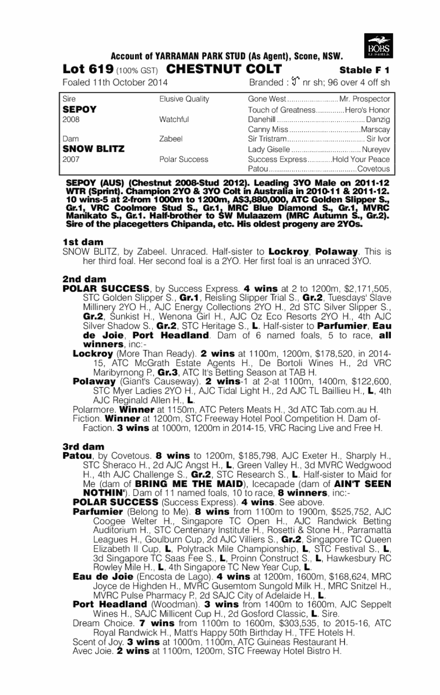 Sepoy (AUS) / Snow Blitz (AUS) - pedigree