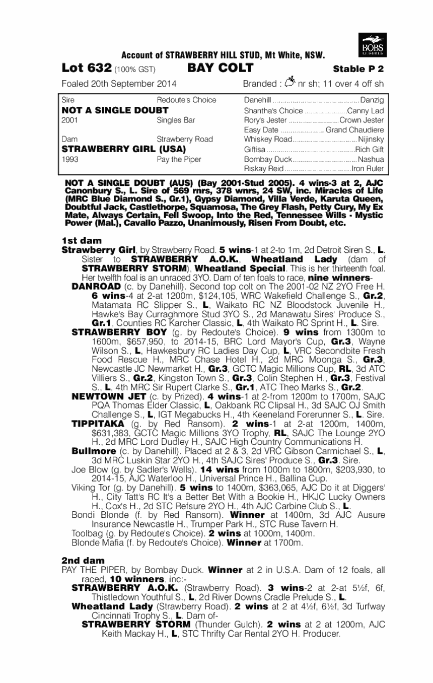 Not A Single Doubt (AUS) / Strawberry Girl (USA) - pedigree