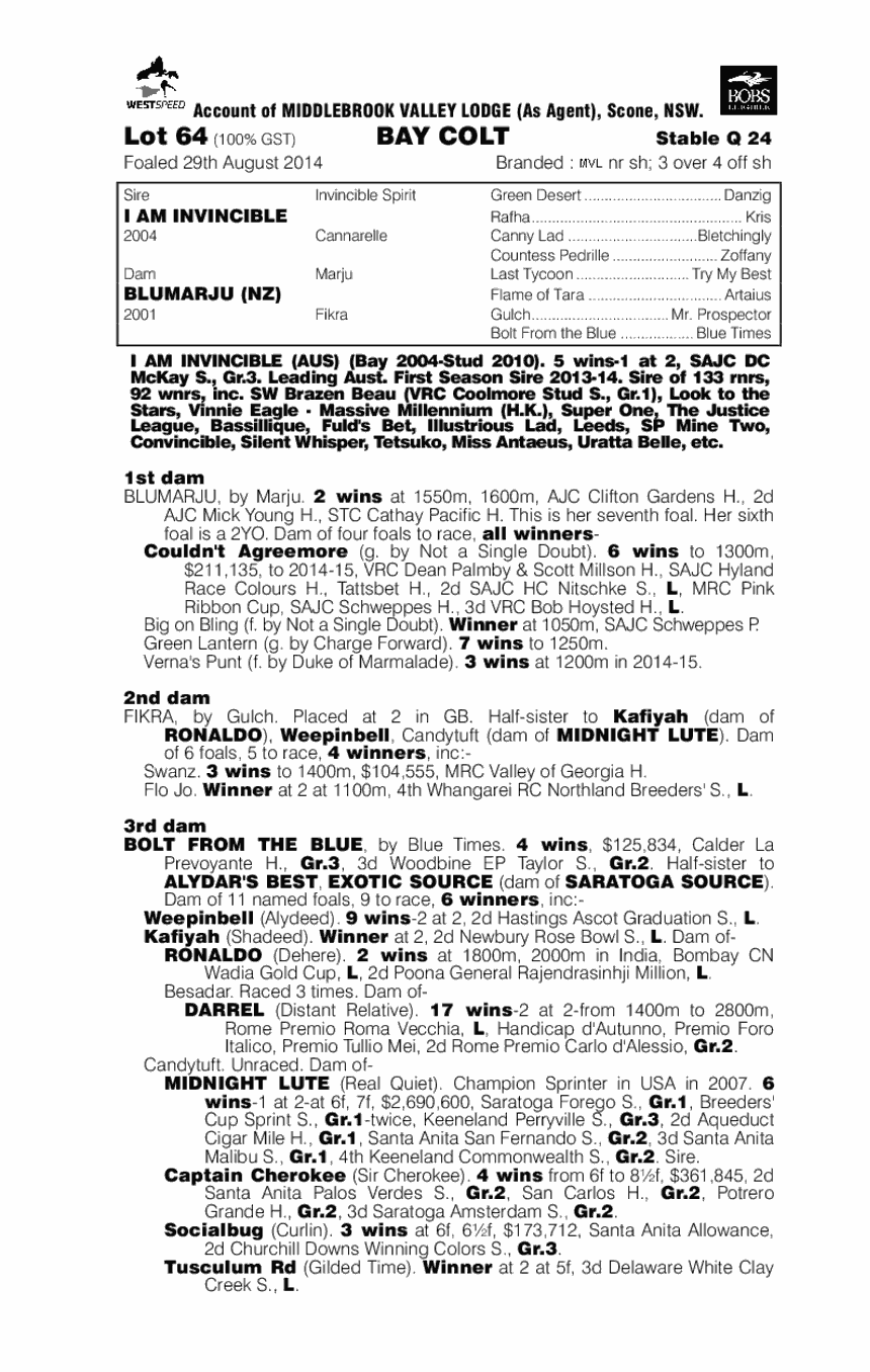 I Am Invincible (AUS) / Blumarju (NZ) - pedigree