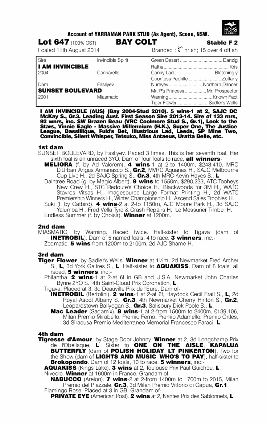 I Am Invincible (AUS) / Sunset Boulevard (AUS) - pedigree