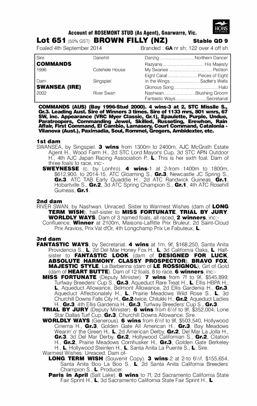 Commands (AUS) / Swansea (IRE) - pedigree