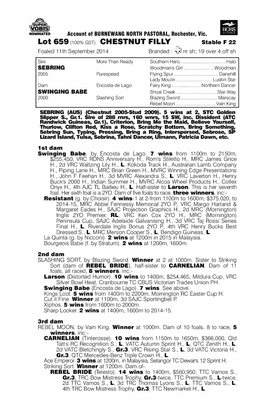 Sebring (AUS) / Swinging Babe (AUS) - pedigree