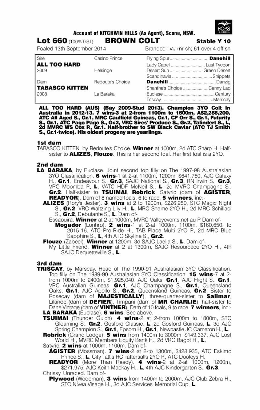 All Too Hard (AUS) / Tabasco Kitten (AUS) - pedigree