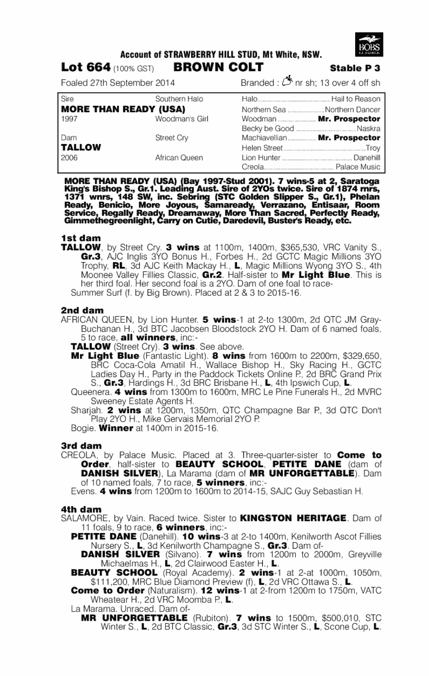 More Than Ready (USA) / Tallow (AUS) - pedigree