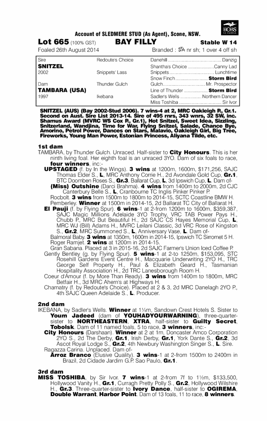 Cash in Transit (AUS) - pedigree