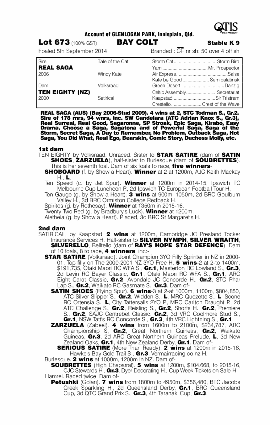 Real Saga (AUS) / Ten Eighty (NZ) - pedigree