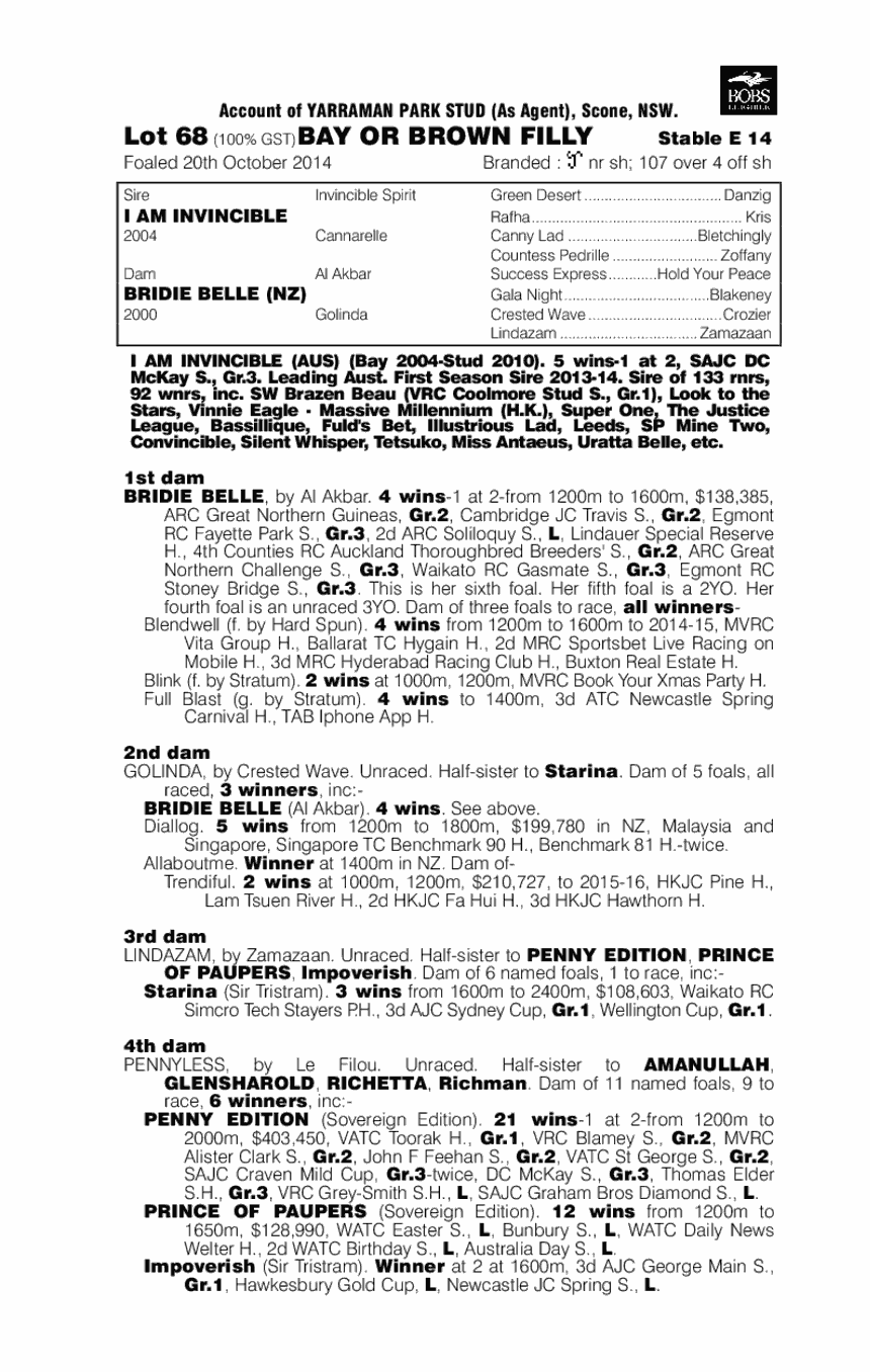 Bella Success (AUS) - pedigree