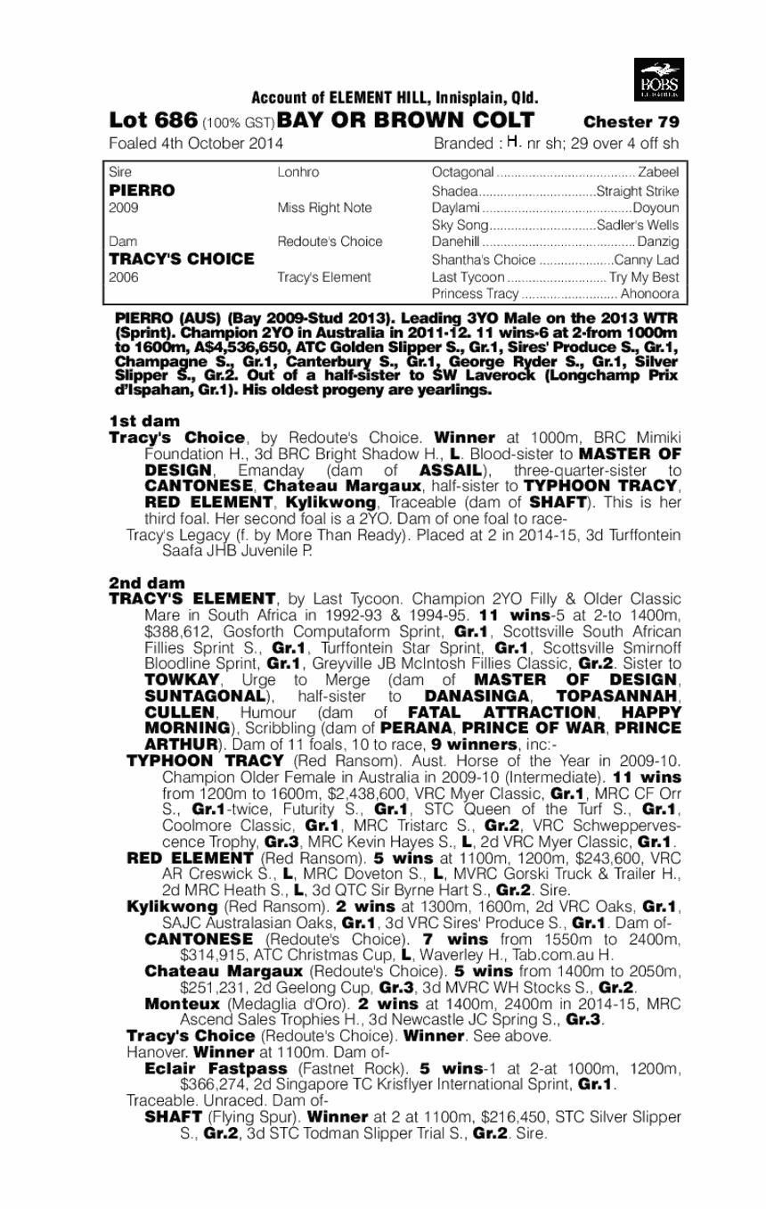 Pierro (AUS) / Tracy's Choice (AUS) - pedigree