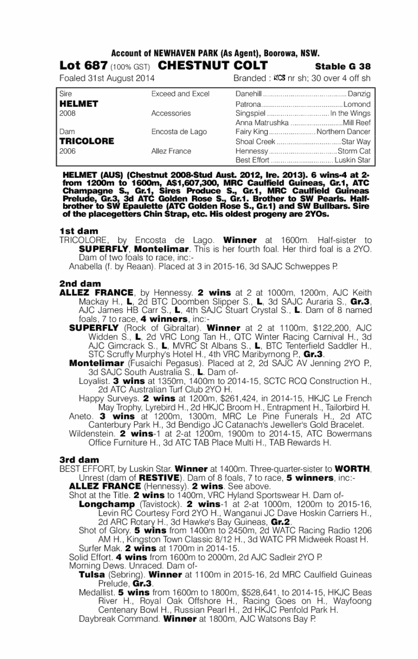 Helmet (AUS) / Tricolore (AUS) - pedigree