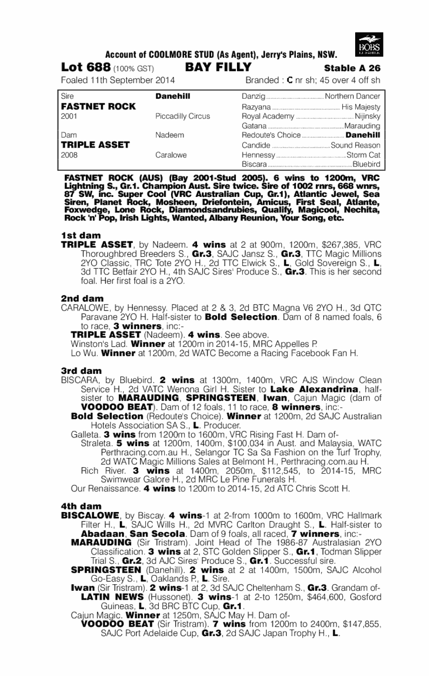 Fasten Up (AUS) - pedigree