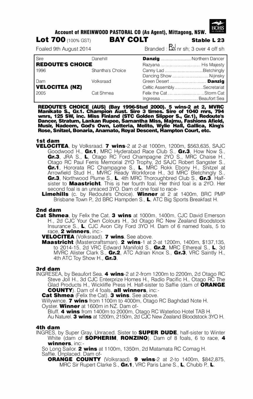Redoute's Choice (AUS) / Velocitea (NZ) - pedigree