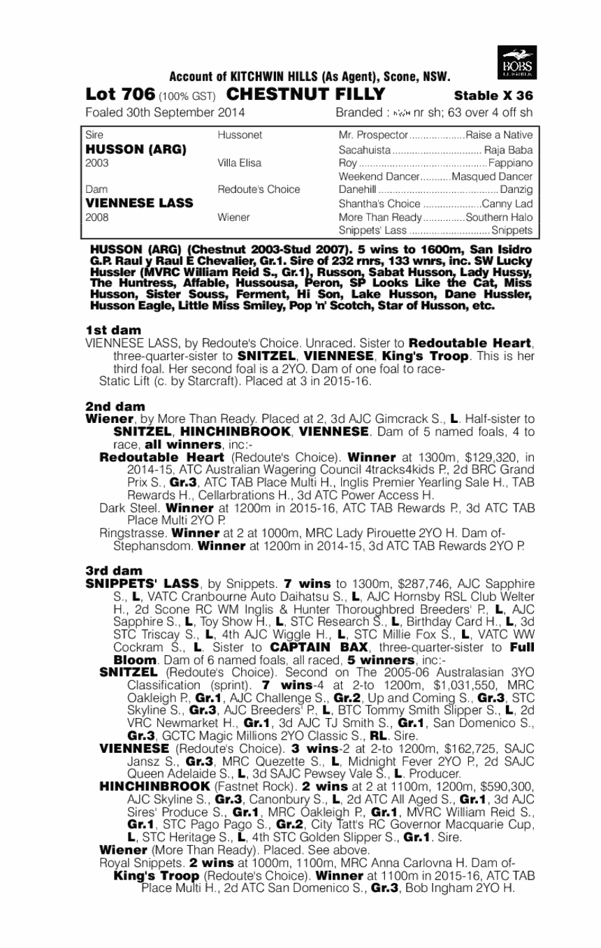 Husson (ARG) / Viennese Lass (AUS) - pedigree