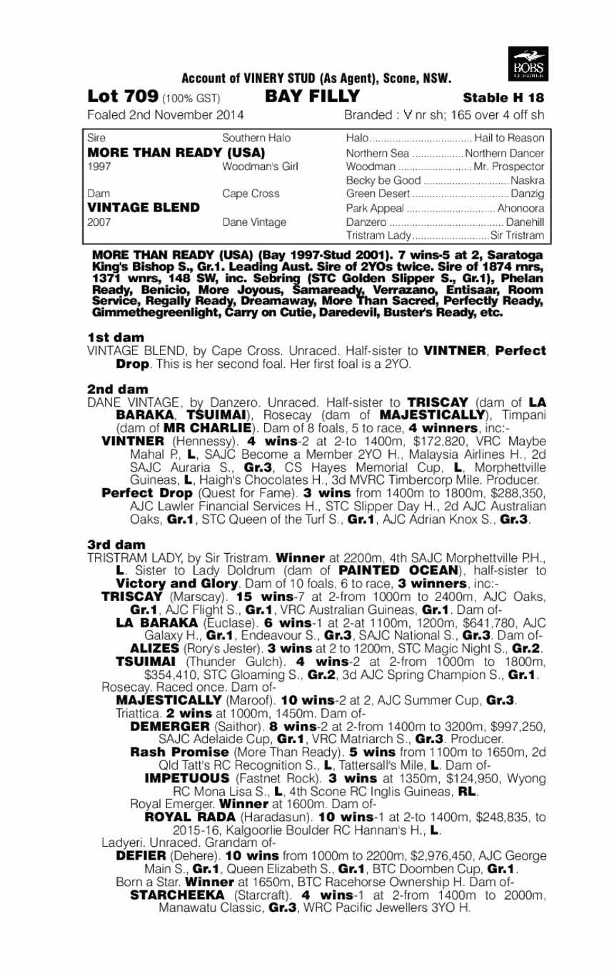 More Than Ready (USA) / Vintage Blend (AUS) - pedigree