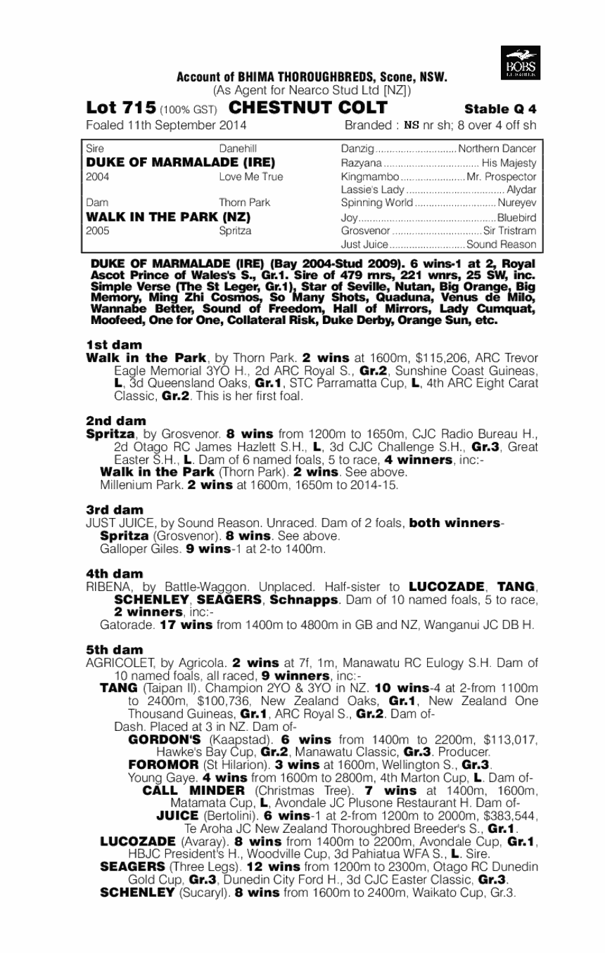 Duke of Marmalade (IRE) / Walk in the Park (NZ) - pedigree