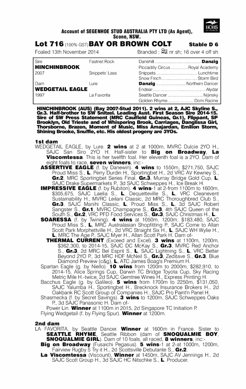 Hinchinbrook (AUS) / Wedgetail Eagle (AUS) - pedigree