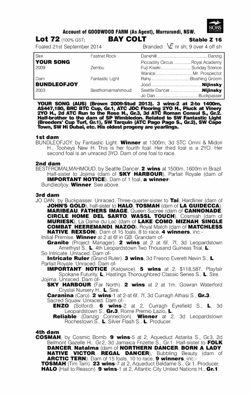 Your Song (AUS) / Bundleofjoy (AUS) - pedigree