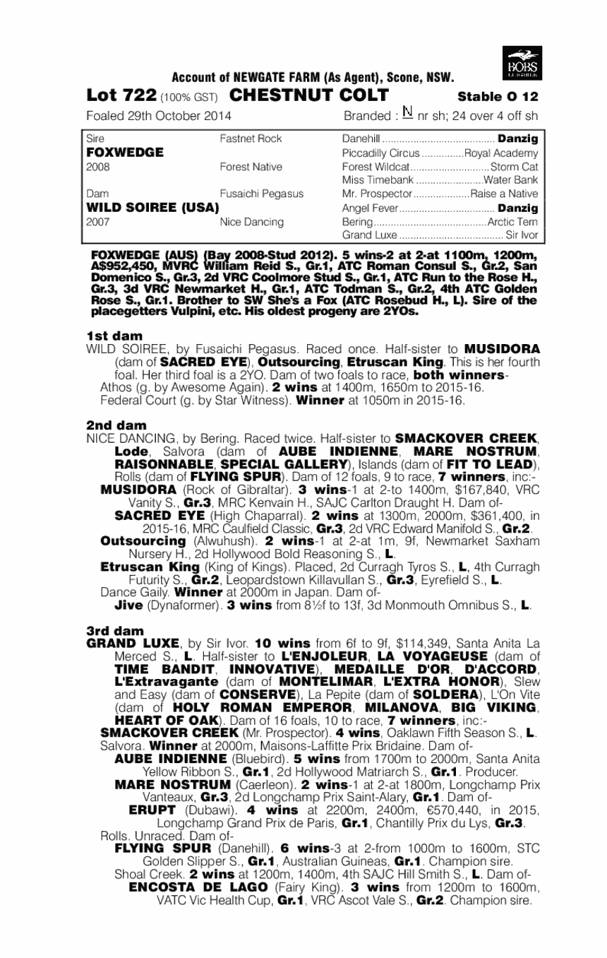Foxwedge (AUS) / Wild Soiree (USA) - pedigree
