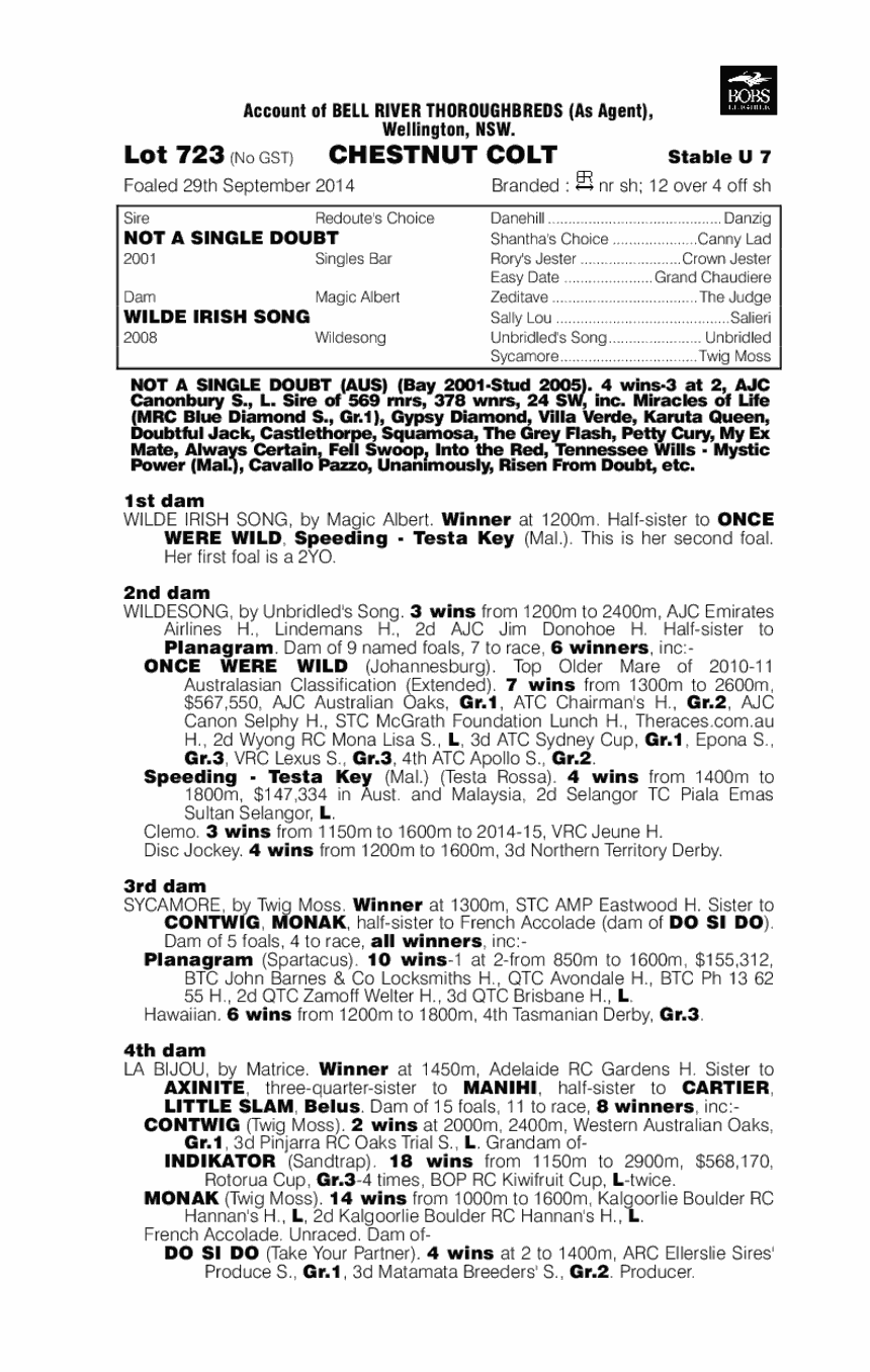 Not A Single Doubt (AUS) / Wilde Irish Song (AUS) - pedigree