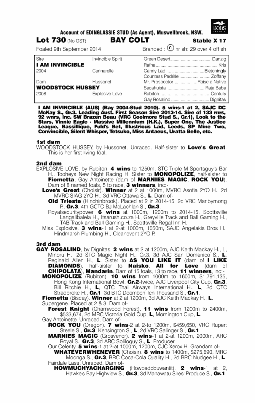 I Am Invincible (AUS) / Woodstock Hussey (AUS) - pedigree