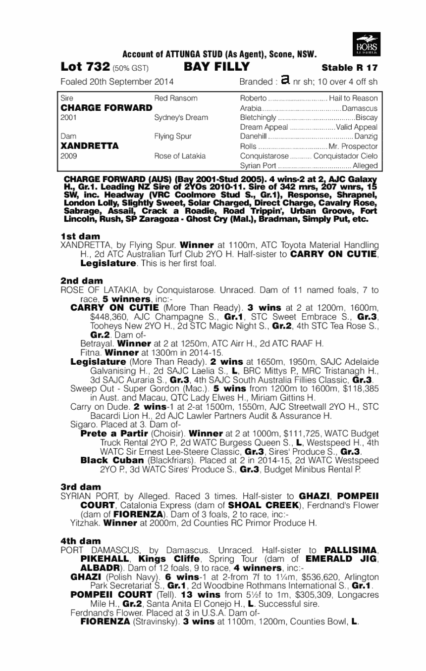 Charge Forward (AUS) / Xandretta (AUS) - pedigree