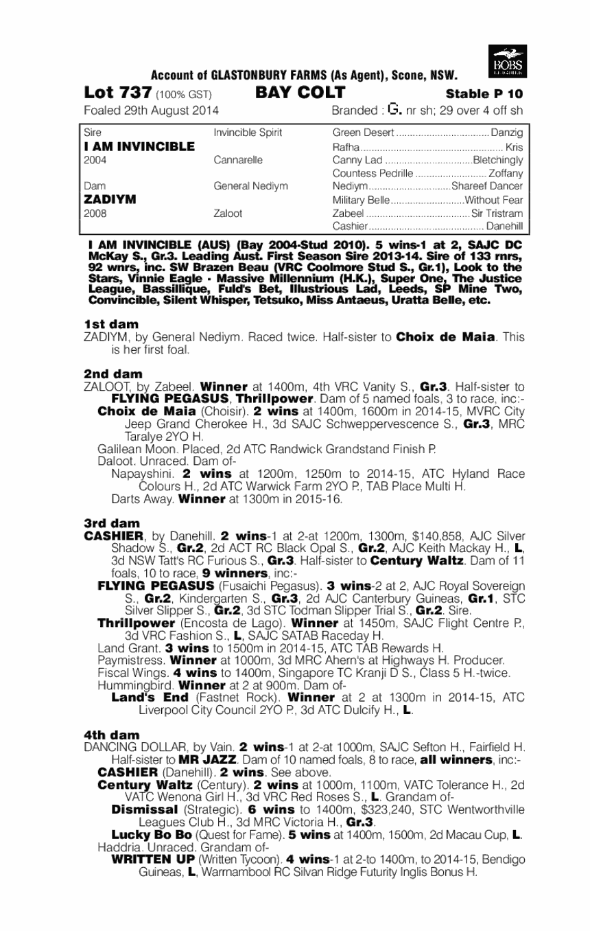 I Am Invincible (AUS) / Zadiym (AUS) - pedigree