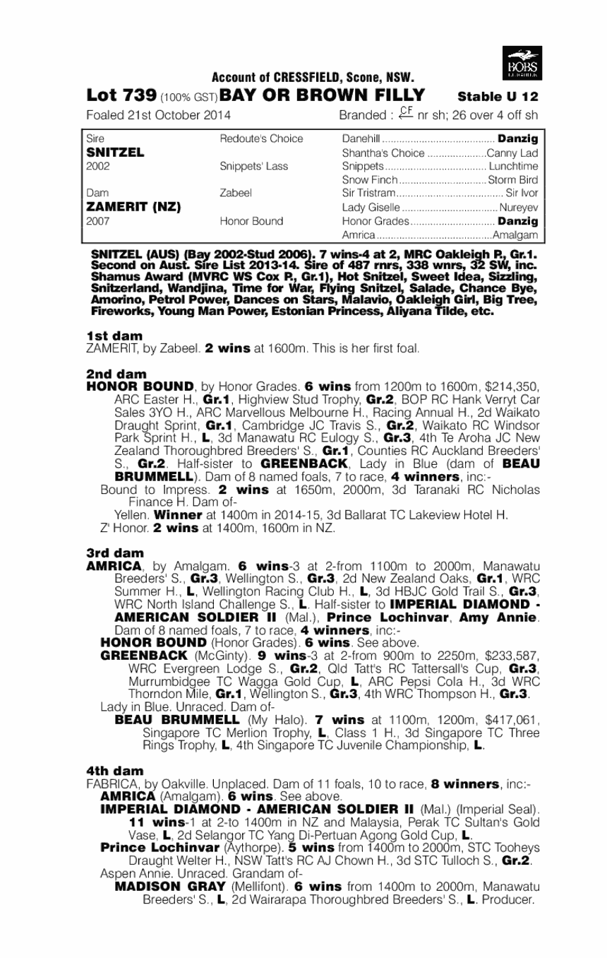 Zabeel's Choice (AUS) - pedigree