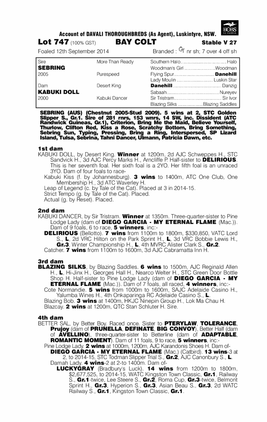 Sebring (AUS) / Kabuki Doll (AUS) - pedigree