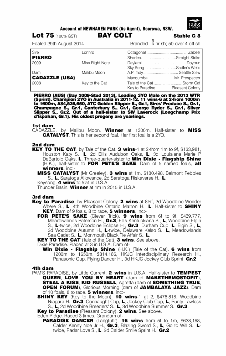 Pierro (AUS) / Cadazzle (USA) - pedigree