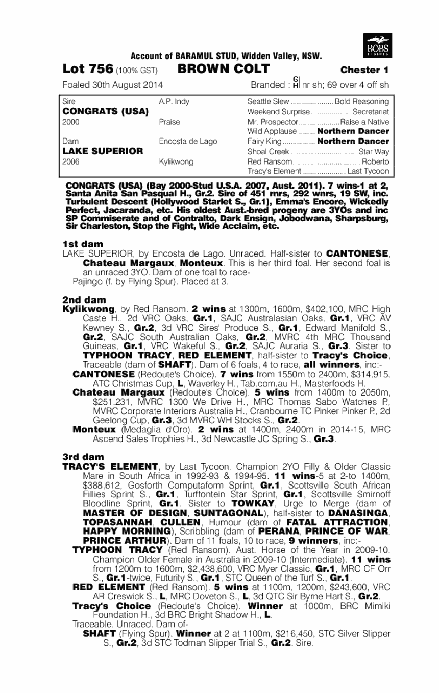 Congrats (USA) / Lake Superior (AUS) - pedigree