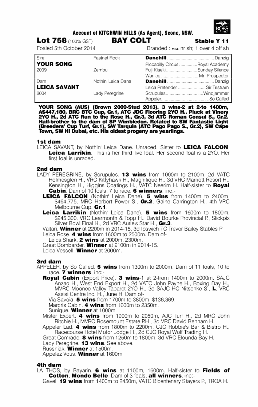 Your Song (AUS) / Leica Savant (AUS) - pedigree