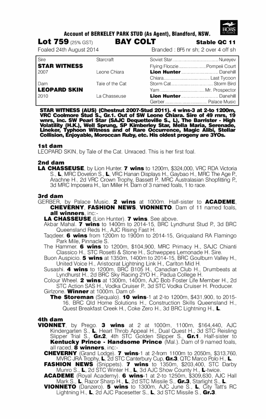 Star Witness (AUS) / Leopard Skin (AUS) - pedigree