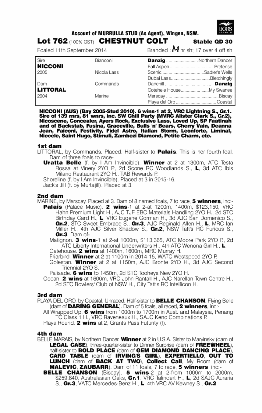 Nicconi (AUS) / Littoral (AUS) - pedigree