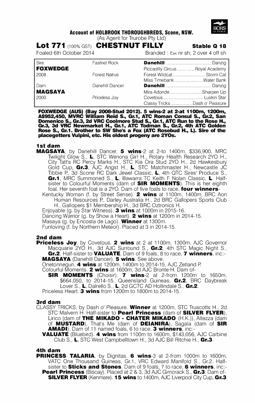 Foxwedge (AUS) / Magsaya (AUS) - pedigree