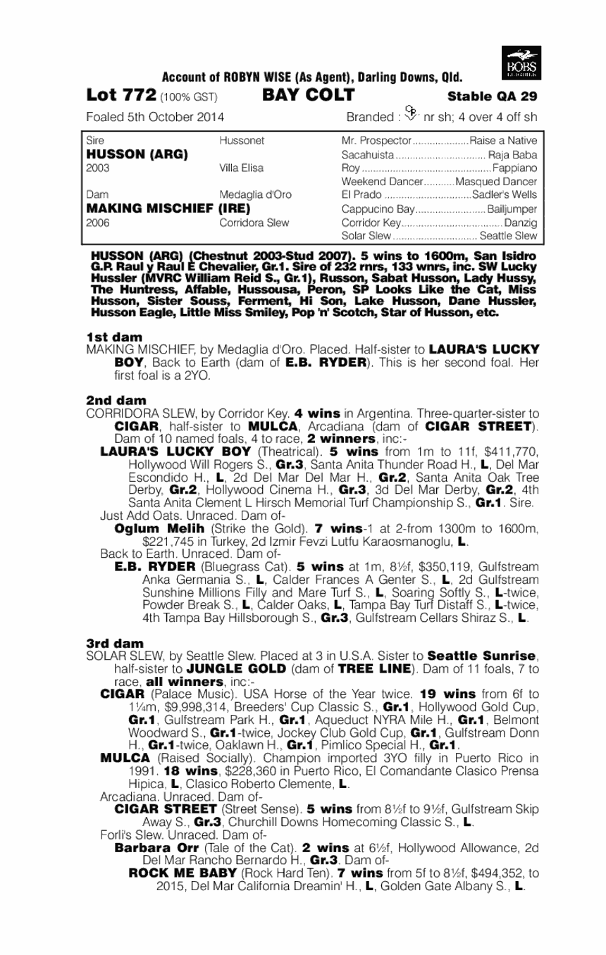 Husson (ARG) / Making Mischief (IRE) - pedigree