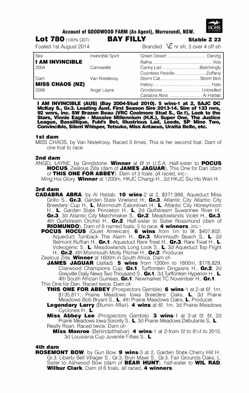 I Am Invincible (AUS) / Miss Chaos (NZ) - pedigree