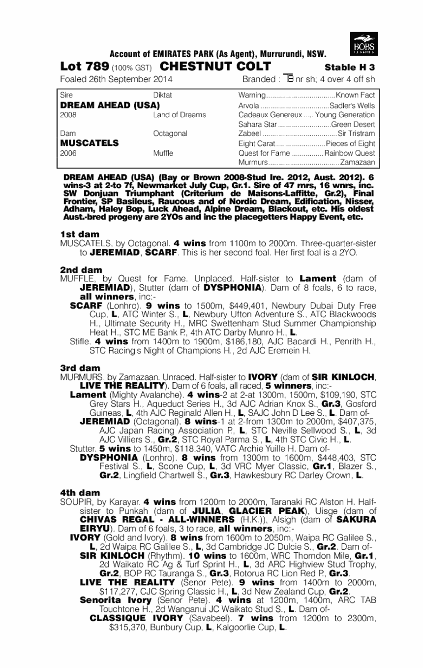 Dream Ahead (USA) / Muscatels (AUS) - pedigree