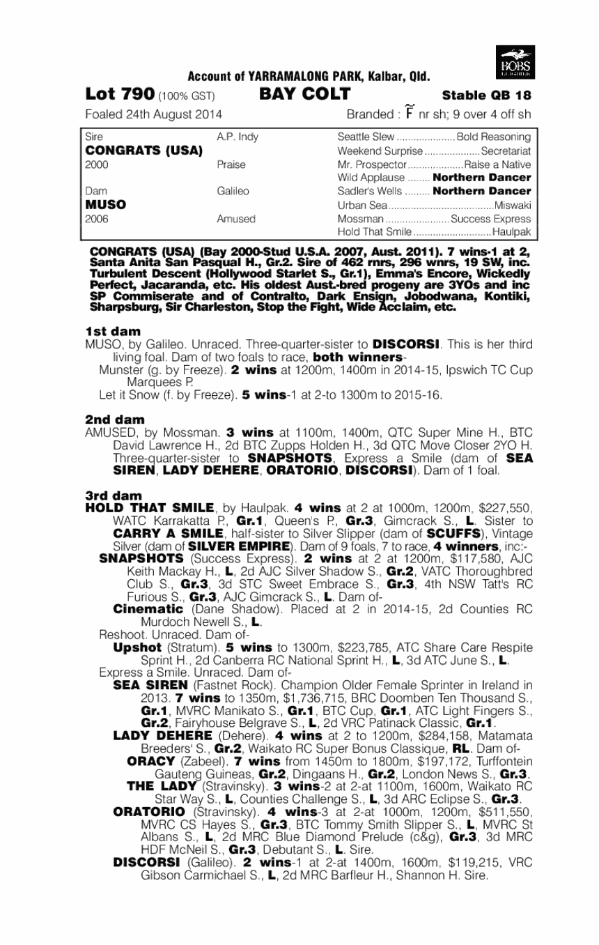 Congrats (USA) / Muso (AUS) - pedigree